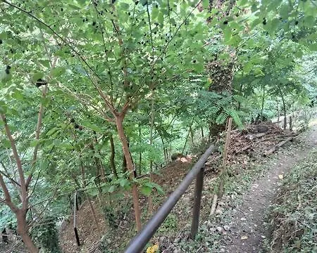 Bellavista Iseo Villongo SantʼAlessandro